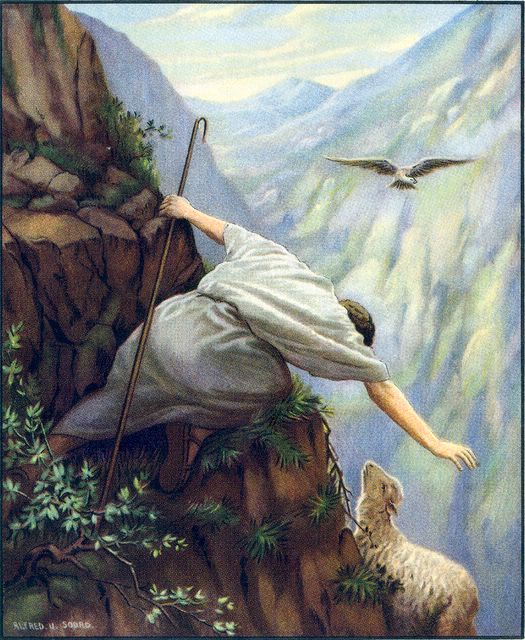 Shepherd rescueing sheep on a mountainside
